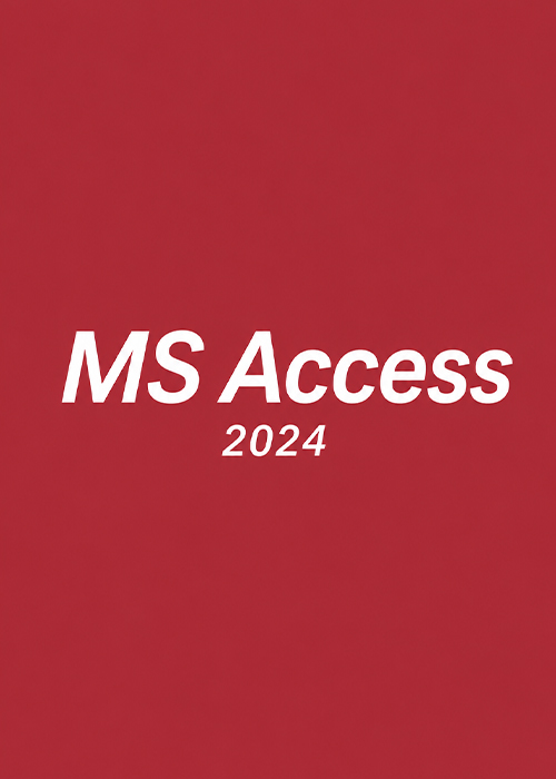 MS Access 2024 CD Key Global